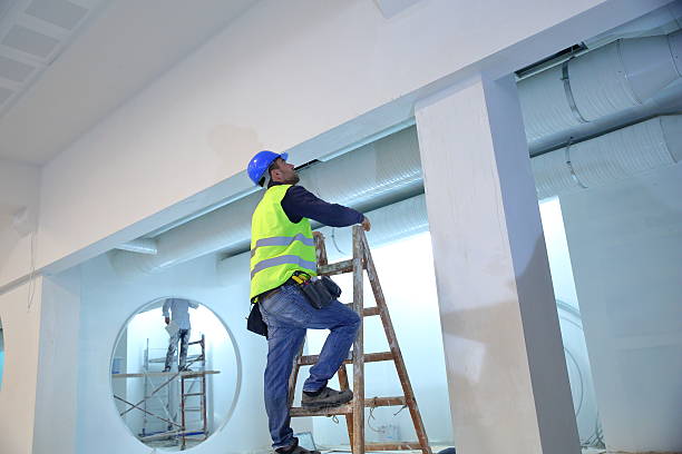 Best Commercial Mold Inspection  in Cullman, AL