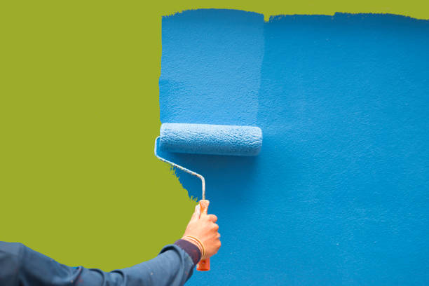Trusted Cullman, AL Mold Removal Experts